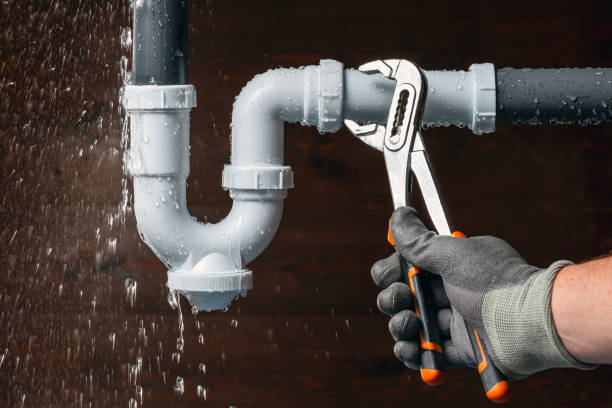 Professional Plumbing technician working in Pierron, IL